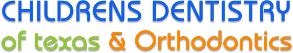 CDT-logo---resized-for-website-header